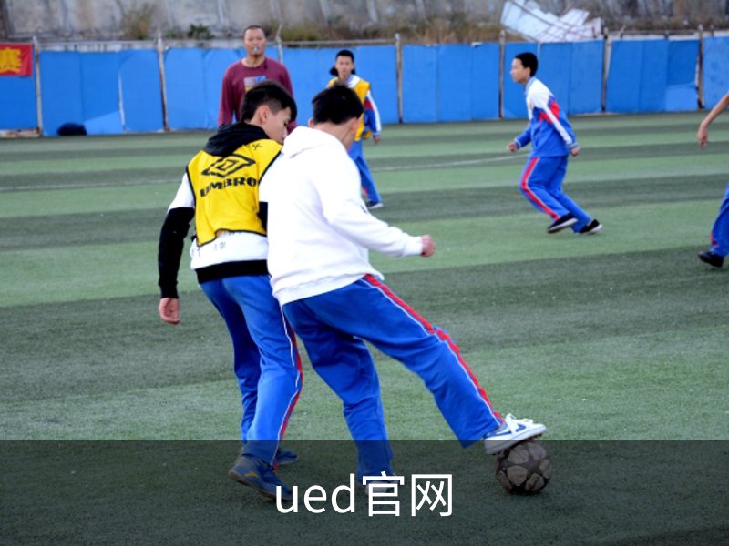 了解ued官网